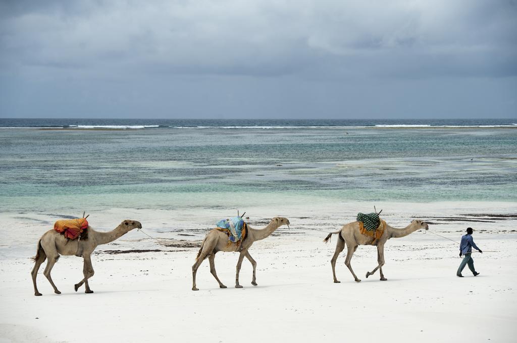 ホテル Diani House ディアニ・ビーチ エクステリア 写真